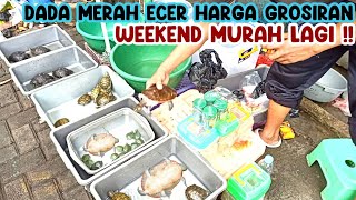 KURAKURA HIAS ECER amp GROSIRAN MURAH‼️UPDATE HARGA KURAKURA HIAS  PASAR IKAN HIAS JATINEGARA‼️ [upl. by Connors555]