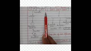 INDUCIBLE OPERON LAC OPERON AND REPRESSIBLE OPERONTRYPTOPHAN OPERON [upl. by Mobley]