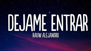 Rauw Alejandro  Dejame Entrar LetraLyrics [upl. by Robertson]