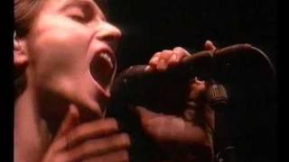 Sinéad OConnor  Fire on Babylon Live  Pinkpop 1995 [upl. by Seda]