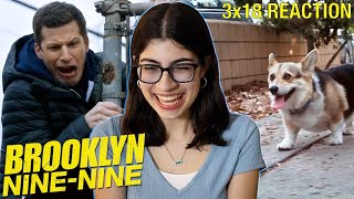 Cheddar A Criminal Mastermind Brooklyn NineNine 3x18 Reaction [upl. by Jamilla]