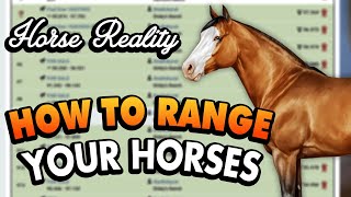 How to Range Your Horses  My Quarter Horse Project Update Horse Reality [upl. by Ilrahc]