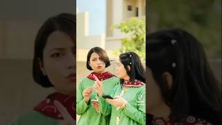 Muhabbat Kar  Zeeshan Rokhri  Latest Song  Rokhri Production [upl. by Ettenwad]