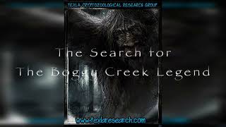 TEXLA Research Boggy creek trailer 2 [upl. by Ahsirtak628]