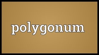 Polygonum Meaning [upl. by Samford]