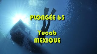 Plongée 65 17m Yucab  MEXIQUE [upl. by Seidule550]