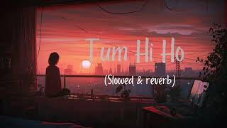 Tum Hi Ho  Lofi  Slowed Reverb l Arijit Singh l LL [upl. by Wellington]