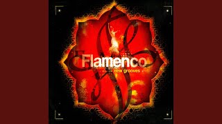 Redefined Flamenco [upl. by Elizabeth]