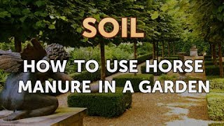 How to Use Horse Manure in a Garden [upl. by Haye732]