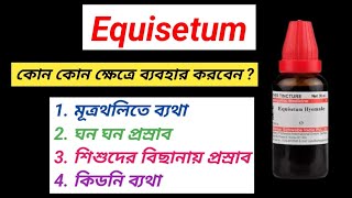 Uses of Equisetum Homeopathy Medicine । কিডনির সমস্যায় হোমিওপ্যাথি । [upl. by Lucian823]