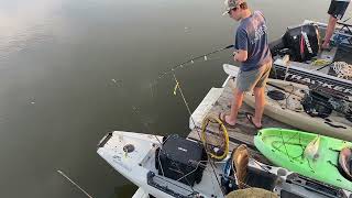 Shark fishing on Edisto Island [upl. by Janos]