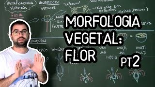 Organologia da Flor Morfologia pt2  Aula 19 Botânica Prof Guilherme [upl. by Yelloh]