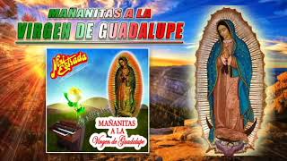 Mañanitas a la Virgen de Guadalupe  Nini Estrada DISCO COMPLETO [upl. by Atikir51]