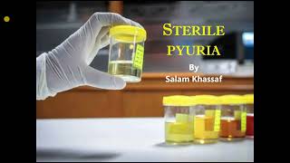 Sterile pyuria [upl. by Aiclid367]