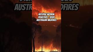 Historic Natural Disasters  2020 Australian Wildfires naturaldisaster extremeweather weatherfact [upl. by Allesor]