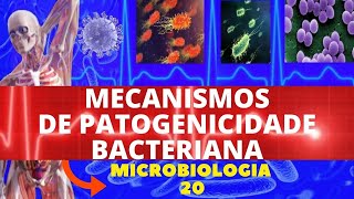 MECANISMOS DE PATOGENICIDADE BACTERIANA  MICROBIOLOGIA BACTÉRIAS PATOGÊNICAS [upl. by Niboc867]