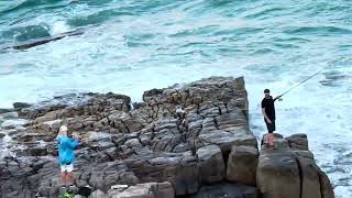 Rock fishing at Point Arkwright Queensland [upl. by Landmeier]