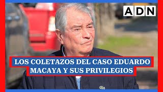 LOS COLETAZOS DEL CASO MACAYA RENUNCIA DE JAVIER MACAYA [upl. by Vance651]