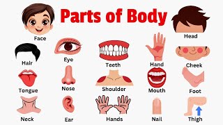 Learn Parts Of Body  Body Parts Vocabulary for Kids amp Toddlers partsofbody bodyparts [upl. by Sterling]