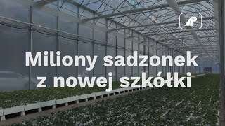 Miliony sadzonek z nowej szkółki [upl. by Aikym]