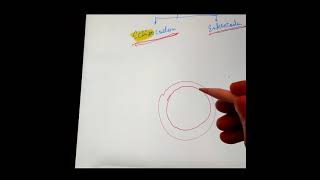 Difference between Schizocoelom and Enterocoelom AnimalKingdom [upl. by Euh519]