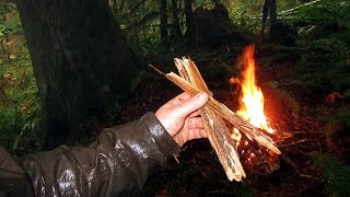 Pacific Northwest EmergencySurvival Fire Make Fire in a Rainforest Without a Knife [upl. by Shelton]