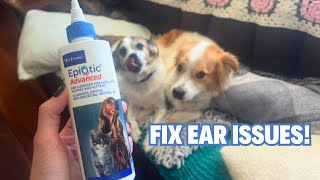 Virbac EpiOtic Advanced Ear Cleanser for Dogs amp Cats  Treating Yeast Bacteria and Wax for Dogs [upl. by Anaej]