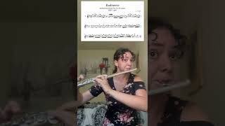 Badinerie Flute Solo flutebachsheetmusicflutistbandclassicalmusic [upl. by Cresida485]