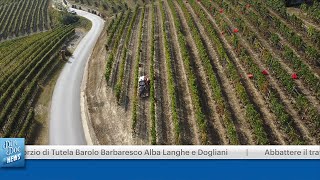 CONSORZIO DI TUTELA BAROLO BARBARESCO ALBA LANGHE E DOGLIANI [upl. by Enirod]