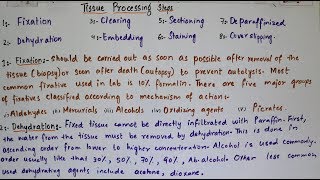 Steps of tissue processingan easy way to understand in hindi and urdu [upl. by Anayi]