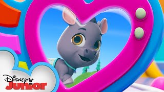 Bucky The Bull  Calling All TOTS  TOTS  disneyjr [upl. by Yrennalf]