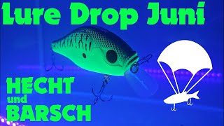 Unboxing Lure Drop Juni HechtampBarsch I Wasserbecken mit UVTest [upl. by Ahsinotna]