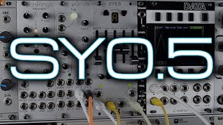 Michigan Synth Works SY05  Pearl Syncussion Clone in Eurorack [upl. by Suiratnod465]