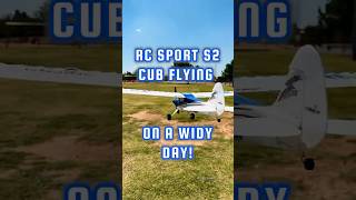 Small RC Airplane handles the wind like a champ rc [upl. by Norab959]