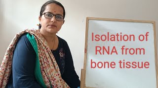 Isolation of RNA from bone tissue  isolation RNA from hard tissue  mixed method for RNA isolation [upl. by Aissyla80]