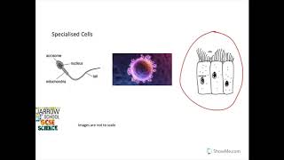 B1 Key Concepts Foundation  Edexcel GCSE [upl. by Keir]