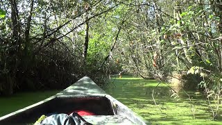 Dutch Bush by Canoe [upl. by Odab]