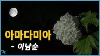 이남순  아마다미아 Amada Mia 1959 [upl. by Artemisa]