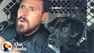 Watch This K9 Dog Help Her Dad At Work Every Single Day  The Dodo [upl. by Bostow]