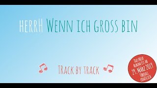 🎶♥️ herrH – Wenn ich groß bin ♥️🎶 Track by Track Teaser [upl. by Meggs]