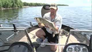 Swimbaits for Walleye [upl. by Akcirred]