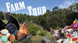 Rare Chicken Farm Tour│Greenfire Farms [upl. by Goda]