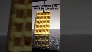 Waffle falling over until 50 subscribers 2550 [upl. by Nedyah998]