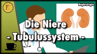 Unser Tubulussystem erklärt Wie wird aus Blut Urin Teil 1 [upl. by Ameehs652]