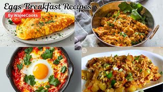 Easy and Quick Egg Recipes by WajeeCooks [upl. by Anirbas]