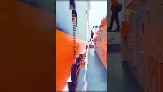 Why Do Ships Have Side Boarding Gates  shortsfeed facts ships pilot [upl. by Tur]