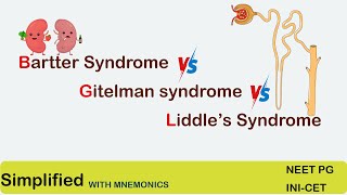 Bartter syndrome  Gitelman syndrome  Liddles Syndrome  simplified for NEET PG  INICET [upl. by Mickelson]