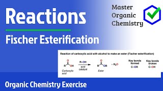 Fischer Esterification [upl. by Annaeerb]