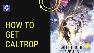 How to Get Caltrop  Wuthering Waves [upl. by Norine]