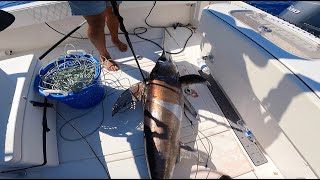 How to CATCH A MASSIVE SWORDFISH IN DEPTH Catch amp Clean South Florida [upl. by Fariss]